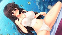 Rule 34 | 10s, 1girl, aquarium, blush, breasts, brown eyes, brown hair, cameltoe, closed mouth, collarbone, crotch seam, dutch angle, fish, game cg, highres, impossible clothes, impossible shirt, kuroki michi, large breasts, long hair, navel, nora to oujo to noraneko heart, oozora itsuki, panties, pussy, shirt, sitting, solo, tank top, underwear, underwear only, wavy mouth, white panties, white shirt