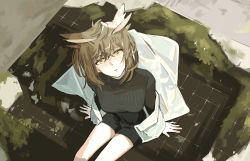 Rule 34 | 1girl, arknights, arm support, bad id, bad pixiv id, black shorts, black sweater, brown hair, coat, commentary, feather hair, feet out of frame, hair between eyes, highres, jacket, lab coat, looking at viewer, no eyewear, off shoulder, open clothes, open coat, owl ears, parted lips, ribbed sweater, short hair, shorts, silence (arknights), sitting, solo, sweater, symbol-only commentary, white jacket, yellow eyes, zy (zyyyyyyy9)