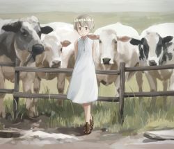 Rule 34 | 1girl, animal, arms behind back, bad id, bad pixiv id, blush, brown footwear, cow, day, dress, fence, grass, grey eyes, grey hair, head wreath, kantai collection, legs together, looking at viewer, makio (makiomeigenbot), outdoors, parted lips, sandals, short hair, sleeveless, sleeveless dress, smile, solo, standing, white dress, z1 leberecht maass (kancolle)