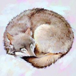 Rule 34 | animal, animal focus, arctic fox, bad id, bad tumblr id, curled up, ilya kuvshinov, no humans, original, simple background, sleeping, solo, white background