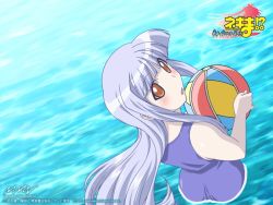 Rule 34 | 00s, 1girl, aisaka sayo, ball, beachball, blue hair, brown eyes, from above, long hair, looking back, mahou sensei negima!, one-piece swimsuit, solo, swimsuit, wallpaper, water