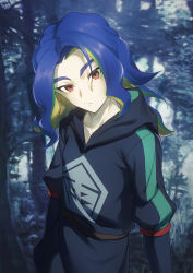 Rule 34 | 1boy, adaman (pokemon), aged down, black jacket, blue hair, brown eyes, closed mouth, commentary request, creatures (company), game freak, green hair, head tilt, highres, hood, hood down, hooded jacket, hwk (ong5pxqvlfykh1i), jacket, long hair, male focus, multicolored hair, nintendo, outdoors, pokemon, pokemon legends: arceus, solo, tree