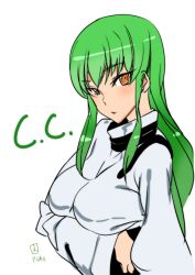 Rule 34 | 1girl, ashiomi masato, breasts, c.c., closed mouth, code geass, long hair, looking at viewer, simple background, solo, very long hair, white background
