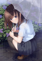 Rule 34 | 1girl, absurdres, black legwear, blush, brown footwear, brown hair, closed mouth, day, fingernails, flower, full body, highres, holding, hydrangea, lips, loafers, looking at viewer, looking back, mole, mole under eye, original, outdoors, pleated skirt, purple eyes, rain, scan, see-through, shoes, short sleeves, skirt, smile, solo, squatting, thighs, umbrella, unasaka ryou, water, water drop