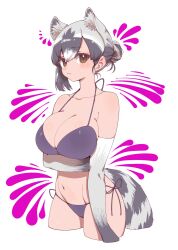 Rule 34 | 1girl, animal ears, bikini, blue bikini, breasts, brown eyes, common raccoon (kemono friends), elbow gloves, extra ears, gloves, grey hair, highres, kemono friends, large breasts, looking at viewer, navel, notora, raccoon ears, raccoon girl, raccoon tail, short hair, simple background, solo, swimsuit, tail