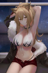 Rule 34 | 1girl, adapted costume, animal ears, arknights, armpits, arms behind head, arms up, bikini, bikini top only, bikini under clothes, black bikini, black jacket, breasts, brown eyes, brown hair, choker, cleavage, collarbone, front-tie bikini top, front-tie top, fur trim, hair between eyes, halterneck, heart, heart-shaped pupils, highres, jacket, large breasts, lion ears, long hair, looking at viewer, midriff, mismatched bikini, navel, open fly, ponytail, red shorts, ru zhai, short shorts, shorts, siege (arknights), sitting, solo, stomach, swimsuit, symbol-shaped pupils, thighs, white bikini