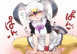 Rule 34 | 10s, 1girl, bird tail, black-tailed gull (kemono friends), blush, breath, clothed sex, commentary, cowgirl position, dress, frilled dress, frills, girl on top, gradient background, grey hair, hair between eyes, head wings, kemono friends, long hair, motion lines, multicolored hair, open mouth, pantyhose, sex, short sleeves, simple background, solo focus, straddling, sweat, tail, tanaka kusao, text focus, translation request, white hair, wings, wristband, yellow eyes, yellow pantyhose