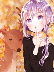 Rule 34 | 1girl, alternate costume, animal, autumn, bad id, bad pixiv id, blush, branch, collarbone, covered mouth, deer, eyebrows, finger to mouth, food, fruit, fuyuko (onaka hungry), hair bobbles, hair ornament, indian style, nail polish, orange nails, purple eyes, purple hair, ribbed sweater, short hair with long locks, shushing, sitting, solo, sweater, upper body, vocaloid, voiceroid, yuzuki yukari