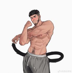 Rule 34 | 1boy, abs, absurdres, animal ears, bara, beard, blue hair, blush, body hair, cat boy, clenched hand, closed mouth, facial hair, grey pants, hand up, highres, kuroshima kurishiro (muyi24108414), male focus, mature male, muscular, muscular male, navel, navel hair, nipples, original, pants, pectorals, short hair, simple background, solo, standing, tail, topless male, white background