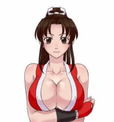Rule 34 | 1girl, animated, animated gif, bare shoulders, blinking, bouncing breasts, breast lift, breasts, brown eyes, brown hair, cleavage, cropped torso, facing viewer, fatal fury, high ponytail, kasumi jun, large breasts, long hair, looking at viewer, lowres, medium breasts, no bra, shiranui mai, simple background, snk, solo, the king of fighters, upper body, white background