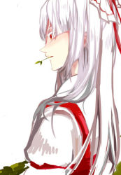 Rule 34 | 1girl, bad id, bad pixiv id, chinaanchor, colored eyelashes, eyelashes, female focus, fujiwara no mokou, grass, lowres, mouth hold, profile, solo, stalk in mouth, touhou, white background, white hair