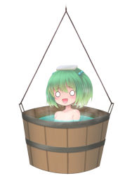 Rule 34 | 1girl, bad id, bad pixiv id, bathing, bucket, collarbone, female focus, green hair, hair bobbles, hair ornament, in bucket, in container, kisume, mochi.f, open mouth, short hair, solo, touhou, twintails, water, white background