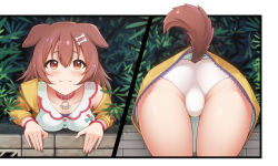 Rule 34 | 1girl, :3, animal collar, animal ears, ass, bent over, blush, bone hair ornament, border, breasts, brick wall, brown eyes, brown hair, brown tail, cartoon bone, closed mouth, collar, dog ears, dog girl, dog tail, dress, from behind, hair between eyes, hair ornament, highres, hololive, inugami korone, inugami korone (1st costume), jacket, long hair, long sleeves, looking at viewer, medium breasts, merrytail, microdress, multiple views, on wall, paid reward available, panties, red collar, smile, tail, underwear, virtual youtuber, white panties, yellow jacket