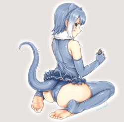 Rule 34 | 1girl, animal ears, aomoro, ass, bad id, bad pixiv id, blue gloves, blue hair, blue one-piece swimsuit, blue thighhighs, blush, dated, elbow gloves, feet, fingerless gloves, from behind, full moon, fur collar, gloves, grey one-piece swimsuit, holding, holding rock, kemono friends, looking at viewer, looking back, moon, multicolored hair, one-piece swimsuit, otter ears, otter tail, rock, short hair, simple background, sitting, skindentation, small-clawed otter (kemono friends), soles, solo, swimsuit, tail, thighhighs, toes, wariza, white hair