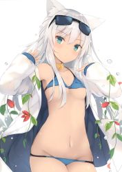 Rule 34 | 1girl, absurdres, animal ear fluff, animal ears, aqua eyes, armpits, bare shoulders, bikini, blue bikini, breasts, bubble, closed mouth, collarbone, cowboy shot, eyewear on head, flower, fox ears, groin, hands up, highres, jacket, long hair, long sleeves, looking at viewer, navel, nibiiro shizuka, off shoulder, open clothes, open jacket, original, red flower, scan, silver hair, small breasts, solo, sunglasses, swimsuit, white background, white jacket
