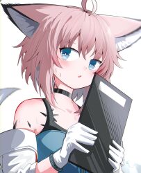 Rule 34 | 1girl, ahoge, animal ear fluff, animal ears, arknights, bare shoulders, black choker, blue dress, blush, brown hair, choker, collarbone, commentary request, dress, fox ears, fox girl, fox tail, gloves, hair between eyes, hands up, highres, holding, jacket, looking at viewer, material growth, off shoulder, oripathy lesion (arknights), parted lips, short hair, simple background, sleeveless, sleeveless dress, solo, spam (spamham4506), sussurro (arknights), sweat, tail, upper body, white background, white gloves, white jacket