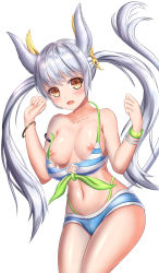 Rule 34 | 1girl, animal ears, bad id, bad pixiv id, bare shoulders, blade &amp; soul, blush, bracelet, breasts, brown eyes, cleavage, collarbone, jewelry, looking at viewer, medium breasts, navel, nipples, open mouth, rommeling, silver hair, solo, swimsuit, tail, wardrobe malfunction