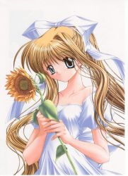 Rule 34 | 00s, 1girl, air (visual novel), blonde hair, flower, himawari, hinoue itaru, kamio misuzu, solo, sunflower