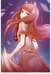 Rule 34 | 1girl, animal ears, ayakura juu, brown hair, from behind, holo, long hair, official art, red eyes, solo, spice and wolf, tail, wolf ears, wolf tail