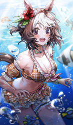 Rule 34 | 1girl, absurdres, animal ears, bikini, blush, breasts, brown hair, cleavage, commentary, highres, horse ears, horse girl, horse tail, looking at viewer, medium breasts, multicolored hair, navel, official alternate costume, open mouth, short hair, smile, solo, special week (hopping vitamin heart) (umamusume), special week (umamusume), swimsuit, tail, umamusume, underwater, white hair, yuki (asayuki101)