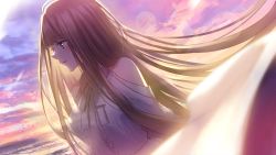 Rule 34 | 1girl, absurdres, bow, breasts, brown hair, clothing cutout, cloud, cloudy sky, commentary request, floating hair, grey eyes, highres, horizon, hoshimiya aki, long hair, looking away, medium breasts, original, outdoors, parted lips, shirt, shoulder cutout, sky, solo, sunset, water, white bow, white shirt