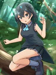Rule 34 | 1girl, :o, ascot, bare arms, black hair, black skirt, black vest, blue ascot, blue eyes, claw pose, dappled sunlight, fang, frilled skirt, frills, full body, grey footwear, grey shirt, hair between eyes, head wings, highres, in tree, kemono friends, looking at viewer, nature, outdoors, pleated skirt, shiraha maru, shirt, shoes, short hair, skirt, sleeveless, sleeveless shirt, socks, solo, sunlight, superb bird-of-paradise (kemono friends), tail, tree, twitter username, vest, wing collar, wings