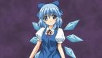 Rule 34 | 1boy, 1girl, alternate breast size, animated, sound, blue eyes, blue hair, breasts, censored, cirno, cum, cum on body, cum on breasts, cum on hair, cum on lower body, cum on upper body, ejaculation, facial, fairy, fellatio, footjob, hetero, indoors, looking at viewer, moaning, mosaic censoring, nipples, nude, oral, penis, pussy, pussy juice, ribbon, sex, short hair, small breasts, socks, solo focus, springbreeze, tagme, touhou, vaginal, video, white legwear, wings