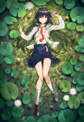 Rule 34 | 1girl, :o, arm up, black hair, blue skirt, blush, breasts, brown footwear, digital media player, dress shirt, full body, hair over one eye, highres, holding, kabu (niniko2ko), knees together feet apart, koi, lily pad, long hair, long sleeves, looking at viewer, lying, necktie, no bra, on back, open clothes, open mouth, open shirt, original, partially submerged, pleated skirt, pond, purple eyes, rain, red necktie, shirt, shoes, skirt, small breasts, socks, solo, water, water lily flower, wet, wet clothes, white shirt, white socks
