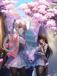 Rule 34 | 1girl, 2girls, :d, black pantyhose, blue ribbon, blue skirt, blunt bangs, blush, bow, breasts, brown hair, building, cardigan, cherry blossoms, collared shirt, commentary request, dango remi, day, grey jacket, hair ribbon, high-waist skirt, highres, holding, jacket, long hair, long sleeves, looking at viewer, medium breasts, medium skirt, multiple girls, neck ribbon, open cardigan, open clothes, open jacket, open mouth, original, outdoors, pantyhose, pink bow, pink cardigan, pleated skirt, purple eyes, red eyes, red ribbon, ribbon, rolling suitcase, shirt, signature, silver hair, skirt, smile, straight hair, suitcase, tree, twintails, very long hair, white shirt, wing collar