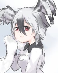 Rule 34 | 10s, 1girl, artist name, black hair, feathered wings, grey background, grey hair, harpy eagle (kemono friends), head wings, kemono friends, multicolored hair, open mouth, red eyes, simple background, solo, tatsuno newo, towel, two-tone hair, upper body, wings