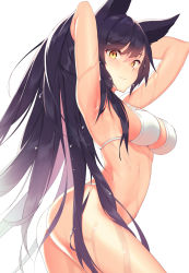 Rule 34 | 1girl, absurdres, animal ears, armpits, arms behind head, arms up, ass, atago (azur lane), azur lane, bare shoulders, bikini, black hair, blush, breasts, cleavage, extra ears, highres, large breasts, long hair, looking at viewer, navel, ninsaki (9saki), ribbon, simple background, smile, solo, swept bangs, swimsuit, thighs, white background, white bikini, white ribbon