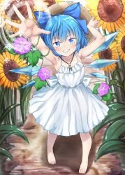 Rule 34 | 1girl, absurdres, armpits, arms up, bare shoulders, barefoot, blue bow, blue eyes, blue hair, blush, bow, brown hat, cirno, closed mouth, dress, female focus, flower, hair between eyes, hands up, hat, highres, ice, ice wings, leaf, light, looking at viewer, magic, matching hair/eyes, pechimaru, pink flower, purple flower, short hair, sleeveless, smile, snowflakes, solo, standing, straw hat, sunflower, sunlight, teeth, touhou, white bow, white dress, wings, yellow flower