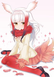Rule 34 | 10s, 1girl, :&lt;, bird tail, black footwear, blunt bangs, blush, buttons, closed mouth, collar, expressionless, feathers, frilled sleeves, frills, fur collar, gloves, gradient background, gradient hair, hands on legs, head wings, highres, japanese crested ibis (kemono friends), jitome, kemono friends, long hair, long sleeves, looking at viewer, mary janes, miniskirt, multicolored hair, pantyhose, pleated skirt, red gloves, red hair, red pantyhose, red skirt, ryuukeichi andromeda, shirt, shoes, short hair, short hair with long locks, sidelocks, sitting, skirt, solo, sparkle, sparkle background, tail, two-tone hair, wariza, white hair, white shirt, wide sleeves, wings, yellow eyes