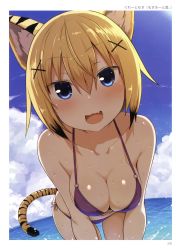 Rule 34 | 1girl, absurdres, animal ears, armpit crease, bare arms, bare legs, bare shoulders, bent over, bikini, blonde hair, blue eyes, blue sky, blush, breasts, breasts squeezed together, cleavage, cloud, cloudy sky, collarbone, cowboy shot, day, dutch angle, embarrassed, fang, fisheye, greatmosu, hair between eyes, hair ornament, hairclip, highres, horizon, leaning forward, looking at viewer, medium breasts, multicolored hair, non-web source, nose blush, o-ring, o-ring bikini, ocean, open mouth, outdoors, purple bikini, scan, short hair, side-tie bikini bottom, sky, smile, solo, standing, strap slip, streaked hair, swimsuit, tail, tiger ears, tiger girl, tiger tail, tooth, toranoana, two-tone hair, untied bikini, wardrobe malfunction, water, wet, x hair ornament