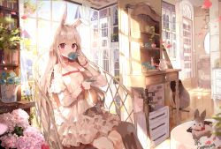 Rule 34 | 1girl, animal, animal ears, animal on lap, antique phone, artist name, b rock, bad id, bad pixiv id, bare shoulders, blue flower, blue rose, blurry, blush, book, bookshelf, braid, chair, choker, collarbone, commentary, commission, cup, curtains, day, depth of field, dress, drinking, flower, flower request, frilled dress, frills, half updo, holding, holding cup, hydrangea, indoors, instrument, jug (bottle), long hair, looking at viewer, off-shoulder dress, off shoulder, on lap, original, petals, phone, pink eyes, plant, plate, potted plant, rabbit, rabbit ears, ribbon, rose, rotary phone, shelf, sitting, solo, sunlight, table, teacup, very long hair, watering can, white choker, white hair, window, wrist ribbon