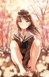 Rule 34 | 1girl, absurdres, bare legs, barefoot, black bow, blush, bow, brown eyes, brown hair, brown serafuku, brown shirt, brown skirt, collarbone, commentary request, covered mouth, day, feet, flower, flower over mouth, full body, highres, holding, long hair, looking at viewer, matsuzaki miyuki, on ground, original, outdoors, pleated skirt, sailor collar, school uniform, serafuku, shirt, sitting, skirt, solo, toes, tree, white sailor collar, wind