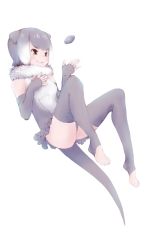 Rule 34 | 10s, 1girl, animal ears, elbow gloves, fingerless gloves, full body, fur collar, gloves, gradient hair, grey gloves, grey hair, grey sweater, grey thighhighs, ise (0425), kemono friends, looking away, multicolored hair, one-piece swimsuit, otter ears, otter tail, simple background, small-clawed otter (kemono friends), smile, solo, stone, sweater, swimsuit, tail, thighhighs, toeless legwear, v-shaped eyebrows, white background, white hair
