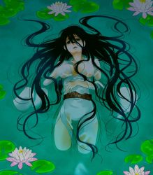 Rule 34 | afloat, bad id, bad pixiv id, betobeto, black hair, floating, lily pad, long hair, very long hair, water, wet, wet clothes