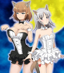 Rule 34 | 2girls, animal ears, black neckwear, blue eyes, blush, bow, bowtie, brave witches, breasts, brown eyes, brown hair, cleavage, closed mouth, dog ears, dog tail, edytha rossmann, frilled skirt, frills, gundula rall, hiro yoshinaka, large breasts, looking at viewer, moon, multiple girls, paw pose, short hair, silver hair, skirt, sky, small breasts, tail, white neckwear, world witches series