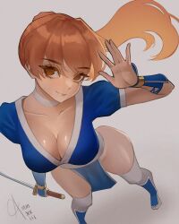 Rule 34 | 1girl, breasts, brown hair, cheetarts, cleavage, dead or alive, from above, highres, kasumi (doa), long hair, ninja, ponytail, short sleeves, sword, thighhighs, weapon