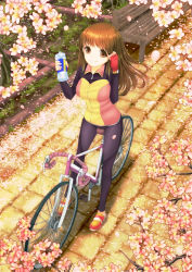 Rule 34 | 1girl, bad id, bad tinami id, bench, bicycle, bike jersey, bottle, breasts, brown eyes, brown hair, chair, cherry blossoms, fingerless gloves, from above, gloves, jersey, long hair, medium breasts, original, pants, petals, rakuga, ringed eyes, smile, solo, tile floor, tiles, tree, watch, water bottle, wristwatch
