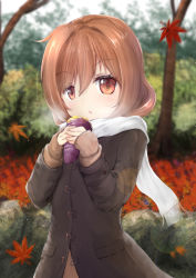Rule 34 | 1girl, autumn leaves, blurry, blurry background, brown coat, brown hair, brown shirt, chestnut mouth, coat, commentary request, day, depth of field, food, fringe trim, hair between eyes, head tilt, highres, holding, holding food, leaf, long sleeves, looking at viewer, maple leaf, maru shion, original, outdoors, parted lips, red eyes, scarf, shirt, sleeves past wrists, solo, standing, sweet potato, tree, upper body, white scarf