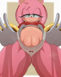 Rule 34 | 1girl, amy rose, apathynsfw, breasts, closed mouth, female focus, furry, furry female, green eyes, hedgehog ears, medium breasts, panties, pink hair, pussy, sega, smile, sonic (series), tail, uncensored, underwear