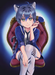 Rule 34 | 1girl, ahoge, animal ear fluff, animal ears, animal print, arm rest, beleven, black hair, blue flower, blue hair, blue jacket, blue rose, blue skirt, cat girl, closed mouth, collared shirt, crossed legs, elbow rest, extra ears, feet out of frame, flower, forked eyebrows, garter straps, grey hair, hair between eyes, hand on own chin, hand on own face, hand up, head rest, head tilt, highres, holding, holding flower, jacket, kemono friends, leaning forward, lips, maltese tiger (kemono friends), md5 mismatch, microskirt, multicolored hair, necktie, open clothes, open jacket, paid reward available, plaid, plaid skirt, plaid sleeves, plaid trim, print necktie, print neckwear, print thighhighs, resolution mismatch, rose, shirt, short hair, sidelocks, sitting, skindentation, skirt, smile, solo, source larger, streaked hair, tail, thighhighs, tiger ears, tiger print, tiger tail, white shirt, wing collar, yellow eyes, zettai ryouiki