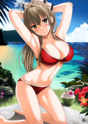 Rule 34 | 10s, 1girl, amagi brilliant park, armpits, arms up, bad id, bad pixiv id, beach, bikini, bird, blush, breasts, brown eyes, brown hair, cleavage, coconut, day, drink, flower, hair ribbon, hibiscus, kneeling, large breasts, long hair, looking at viewer, navel, o-ring, o-ring bottom, o-ring top, ocean, ponytail, red bikini, ribbon, seagull, sento isuzu, skindentation, solo, sweat, swimsuit, xter