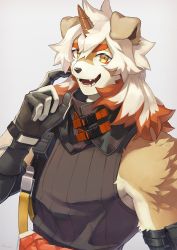 Rule 34 | 1boy, animal ears, arknights, bare shoulders, black scarf, black tank top, brown fur, dog boy, dog ears, fangs, finger to face, furry, furry male, gloves, highres, horns, hung (arknights), male focus, multicolored hair, muscular, orange hair, scarf, shishimi (shishimi443), single horn, solo, streaked hair, tank top, two-tone fur, upper body, white fur, white hair, yellow eyes