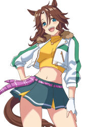 Rule 34 | 1girl, animal ears, breasts, brown hair, commentary request, cowboy shot, crop top, cropped jacket, ear ornament, fur-trimmed jacket, fur trim, green eyes, green skirt, grin, hair between eyes, highres, horse ears, horse girl, horse tail, jacket, jewelry, long hair, long sleeves, looking at viewer, medium breasts, mejiro palmer (umamusume), midriff, miniskirt, multicolored hair, navel, necklace, one eye closed, open clothes, open jacket, open mouth, pleated skirt, ponytail, sakata s2023, shirt, sidelocks, simple background, skirt, smile, solo, standing, star (symbol), streaked hair, tail, teeth, umamusume, white background, white hair, white jacket, yellow shirt