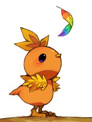 Rule 34 | animal focus, blush, closed mouth, creatures (company), feathers, from side, full body, game freak, gen 3 pokemon, looking up, nintendo, no humans, pokemon, pokemon (creature), puddingx2, purple eyes, rainbow feathers, simple background, solo, standing, torchic, white background