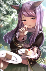 Rule 34 | 1girl, absurdres, animal ears, black jacket, black skirt, blurry, blurry background, blush, bow, cake, day, depth of field, ear ribbon, food, fork, frilled sleeves, frills, green bow, green ribbon, hand up, highres, holding, holding plate, horse ears, horse girl, horse tail, jacket, long hair, long sleeves, looking at viewer, mejiro mcqueen (umamusume), nanahone, open mouth, outdoors, plate, pleated skirt, purple eyes, purple hair, ribbon, skirt, smile, solo focus, strawberry shortcake, swept bangs, tail, textless version, umamusume