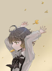Rule 34 | 1girl, absurdres, ahoge, arms up, black bow, blush, bow, brown background, brown eyes, brown hair, collared shirt, commentary request, falling leaves, ginkgo leaf, hatoba tsugu, hatoba tsugu, highres, leaf, long sleeves, looking away, mole, mole under eye, mouth hold, profile, sha2mo, shirt, simple background, solo, suspenders, upper body, virtual youtuber, white shirt